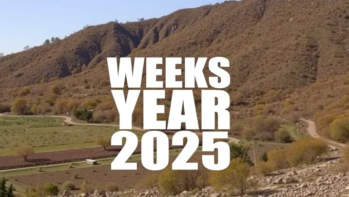 Weeks in a Year 2025: How Many