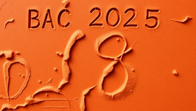 When Will Morocco Release Bac 2025 Resultat