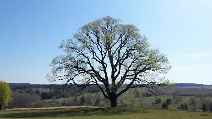 When is Arbor Day 2025 Date