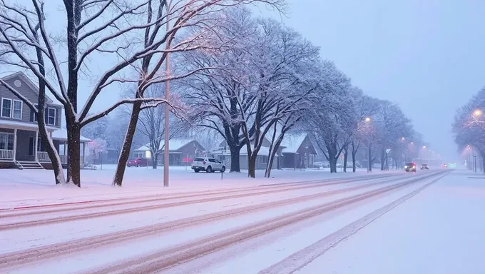 2025テキサス雪降り：起こるのか？