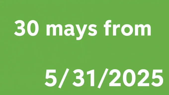 Last Resort: 30 Days from May 31, 2025:Rasuto Rizōto: Mai 31nichi kara 30nichi