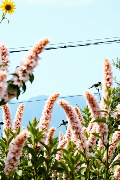 新しい週の始まりのための写真