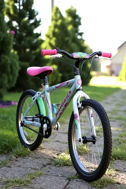 Bicicleta de 20 Polegadas para o Gosto das Pequenas Meninas