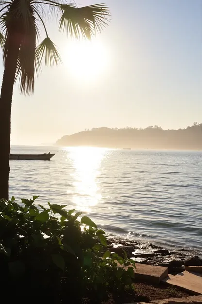 Boas Manhãs de Sol para um Início Radiante