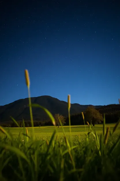 Boas Noites Imagens da Natureza para Sonhos Lindos