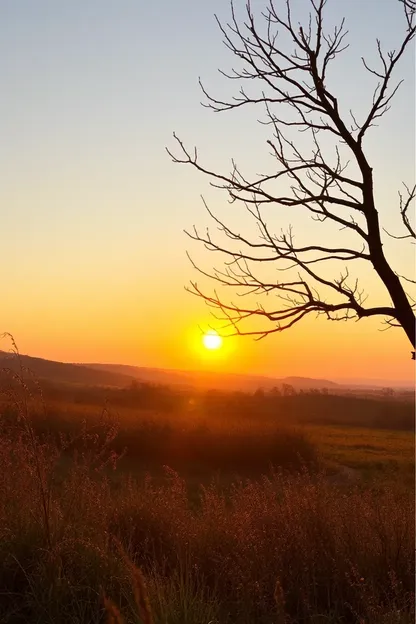 Bom Dia Todos: Imagens Lindas