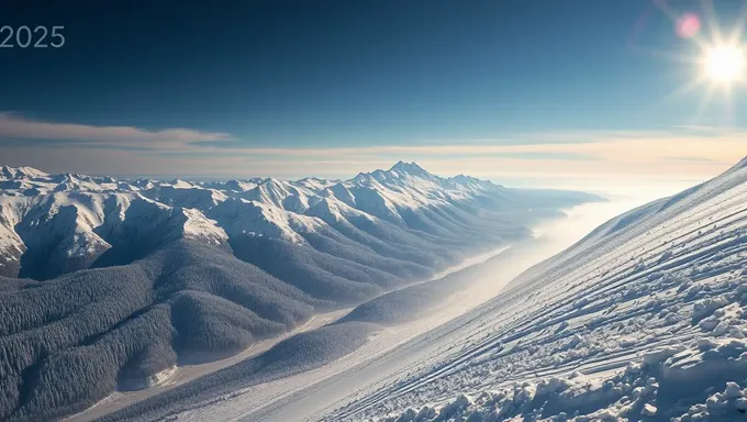 Breach de Neve 2025: Incidente de Segurança Maior