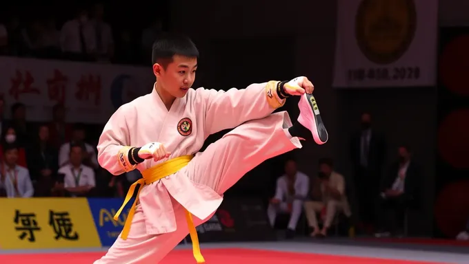 Campeonatos Mundiais de Wushu da América 2025 - Inscrições Abrem