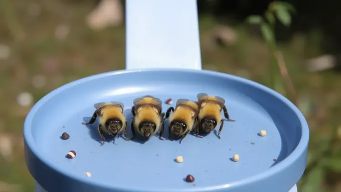 Como Obter Doces de Estrela de um Bando de Abelhas em 2025