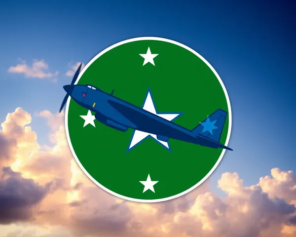 Emblema do Roundel da Força Aérea dos EUA em PNG