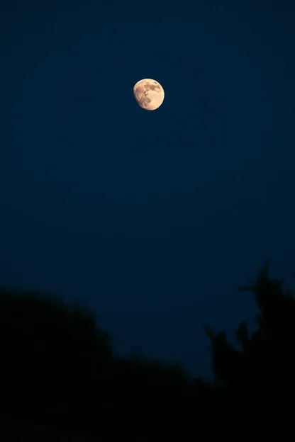 Exibição de Imagem de Lua Luminosa Boas Noites