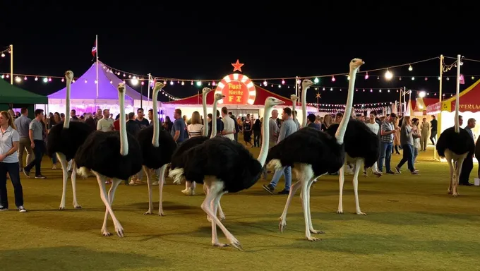 Festival de Ostrich 2025: Prepare-se para um Explosão