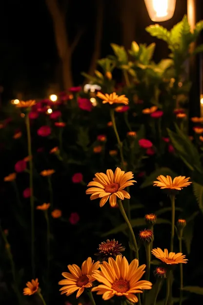 Flores Boas à Noite em Arranjo Bonito