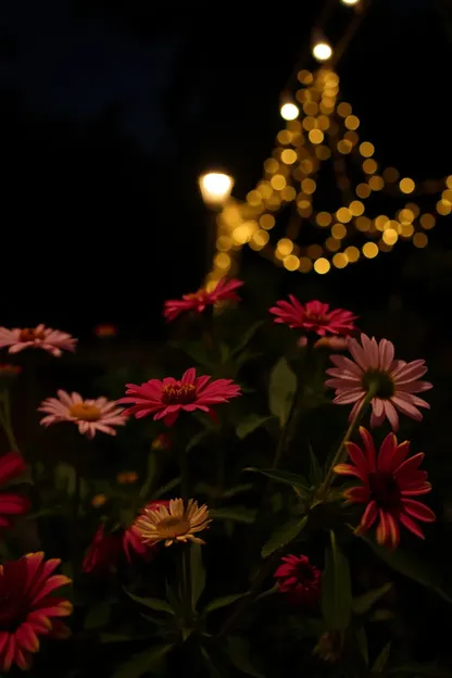 Flores bonitas de boa noite para sua casa