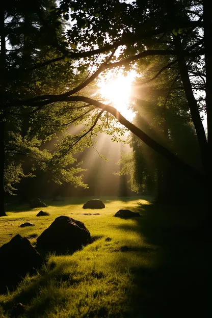 Fotos de Boa Tarde Capturam Momentos Especiais da Vida