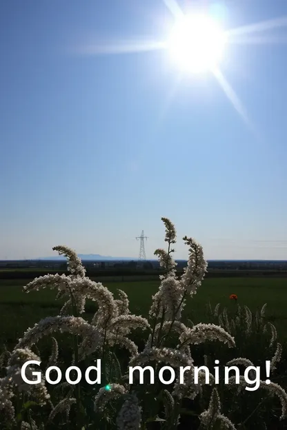 Imagens de Boa Manhã para um Dia de Verão