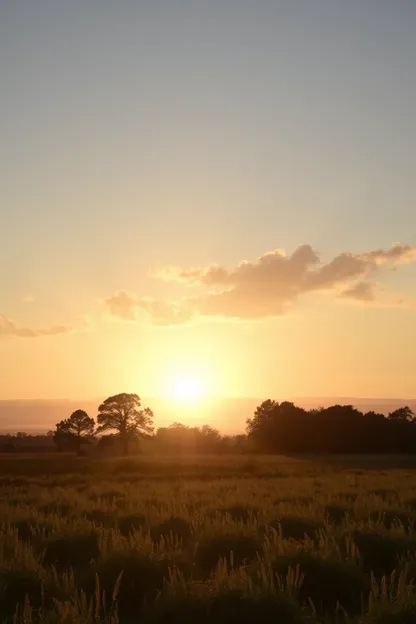 Imagens de Bom Dia do Campo com Animais e Pássaros Felizes