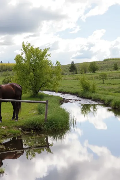 Imagens de Bom Dia do Campo com Paisagens Cênicas Lindas