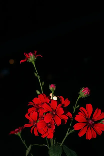 Imagens de Flores Boa Tarde para Cenas Noturnas Suaves