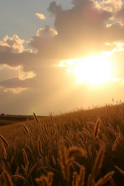 Imagens de Sol Nascente com Frases de Boa Tarde