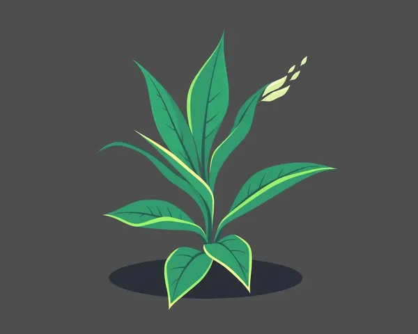 Planta um vetor PNG de design gráfico