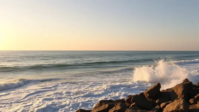 Presa de Armadilha em Mar Alto 2025