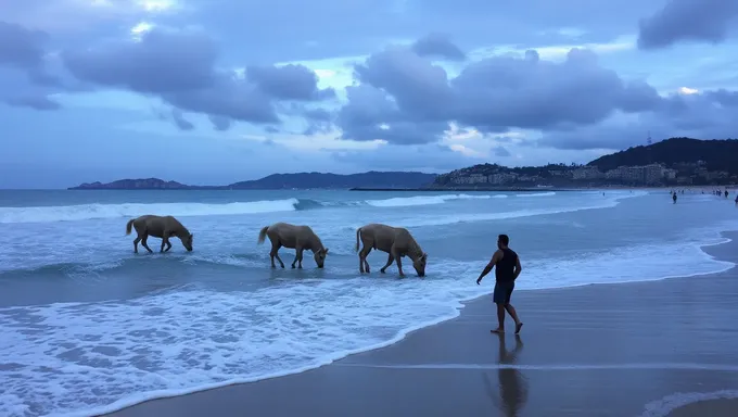 Programação de Feriados em Julho de 2025